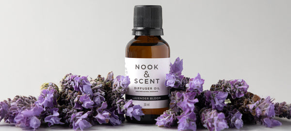 LAVENDER BLOOM