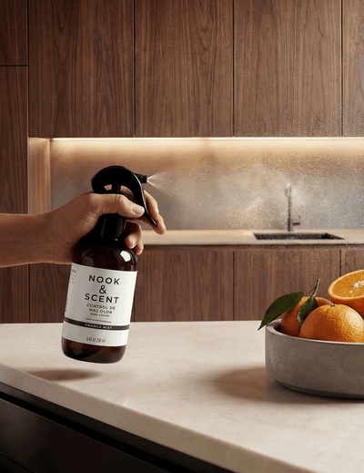 Control de Mal Olor para Cocina