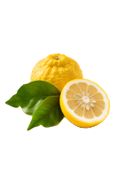 Yuzu