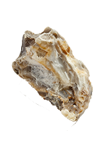 Ambergris
