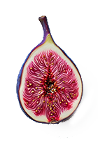 Fig Noir