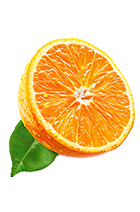 Citrus Grove