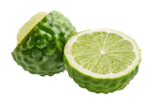 Bergamota